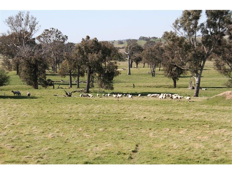 1290 Black Range Road, Yass NSW 2582