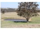 1290 Black Range Road, Yass NSW 2582