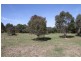 17 Sylvia Street, Murrumbateman NSW 2582