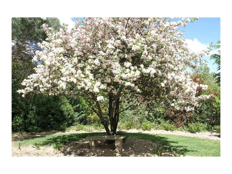 12 – 14  O’Brien Street, Yass NSW 2582