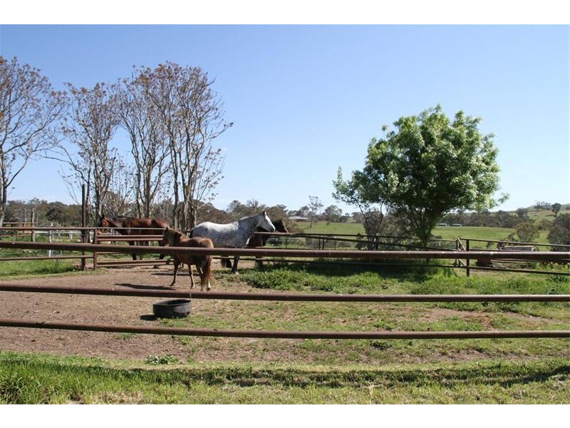 354 Wargeila Road, Yass NSW 2582