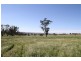 224 Boambolo Road, Yass NSW 2582