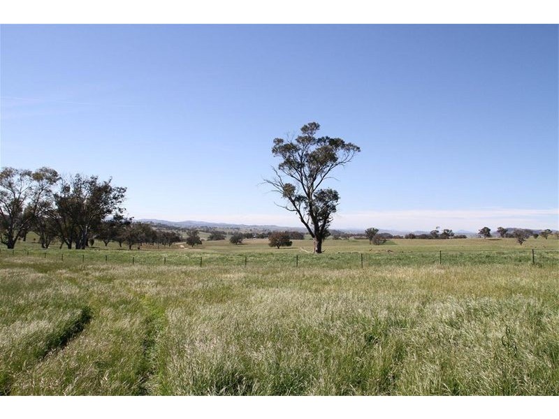 224 Boambolo Road, Yass NSW 2582