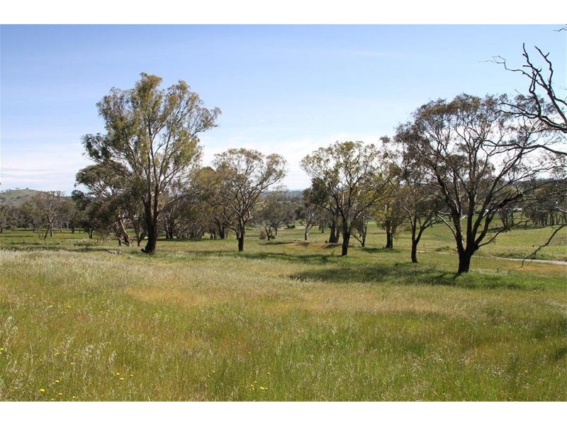 224 Boambolo Road, Yass NSW 2582