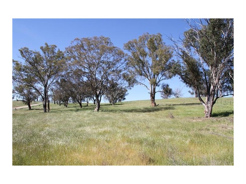 224 Boambolo Road, Yass NSW 2582