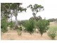 320 Black Range Road, Yass NSW 2582