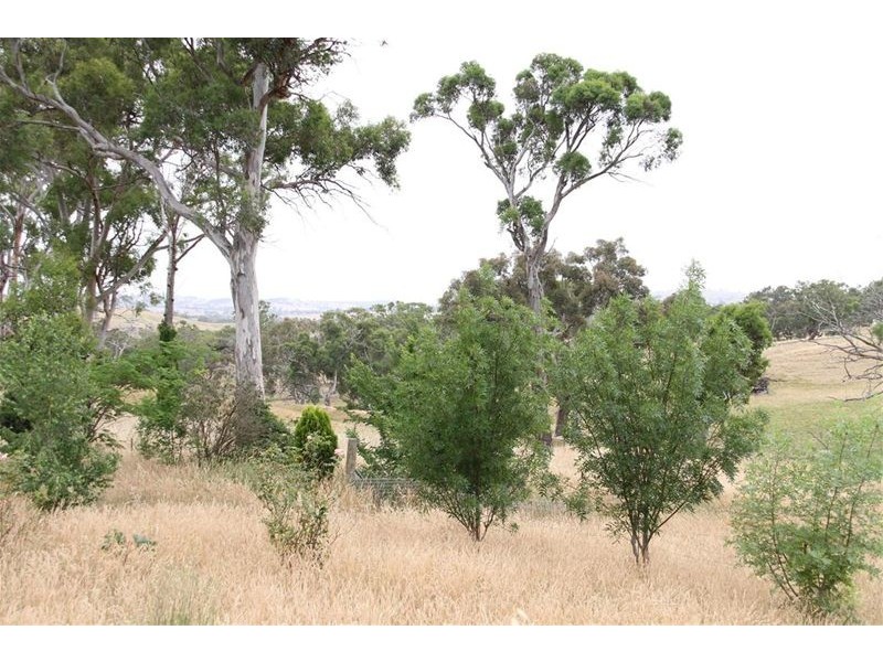320 Black Range Road, Yass NSW 2582