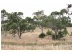 320 Black Range Road, Yass NSW 2582