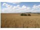 11 Buckley Raod, Yass NSW 2582