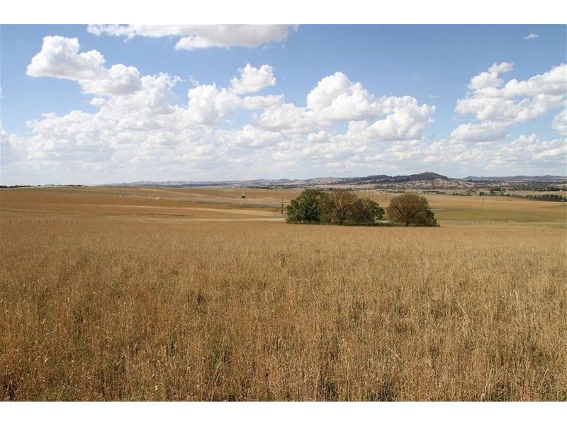 11 Buckley Raod, Yass NSW 2582