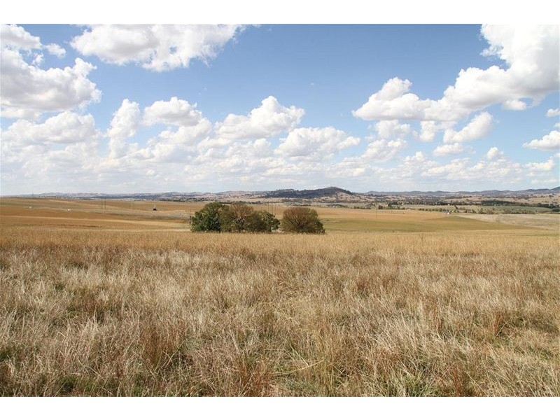 11 Buckley Raod, Yass NSW 2582