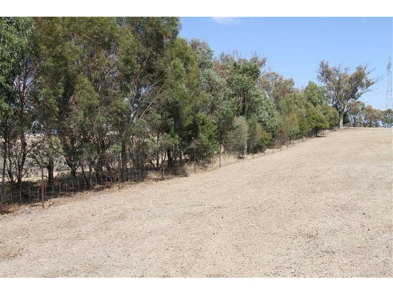 378 Wargeila Road, Yass NSW 2582