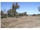 380 Wargeila Road, Yass NSW 2582
