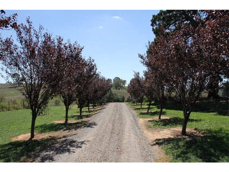 517 Yass River Road, Yass NSW 2582