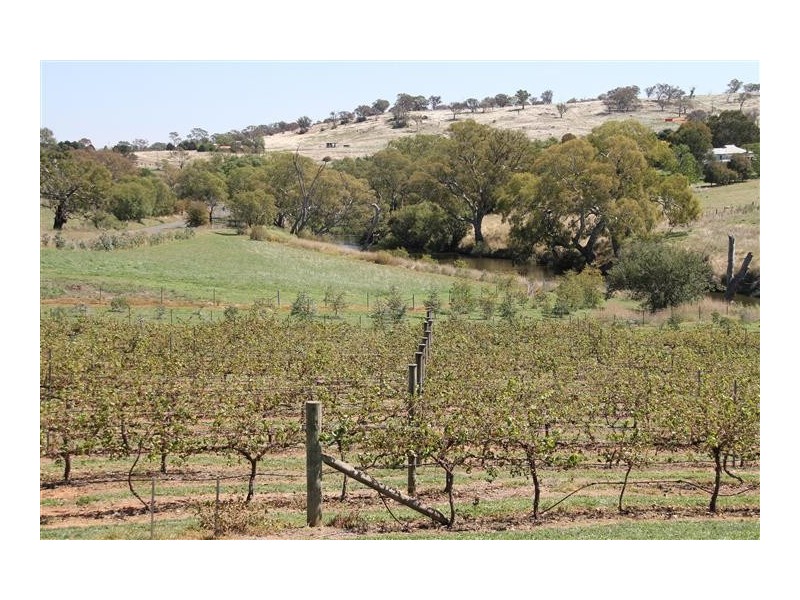 517 Yass River Road, Yass NSW 2582