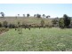 517 Yass River Road, Yass NSW 2582
