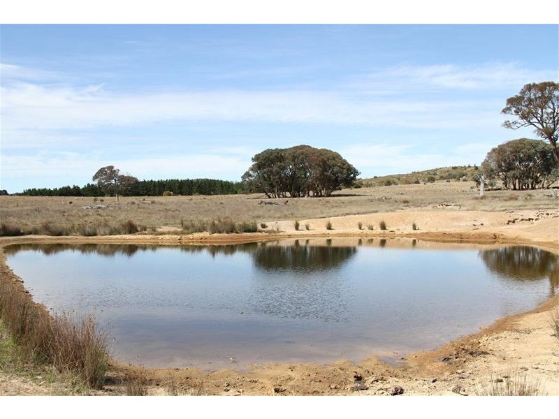 141 Elms Road, Yass NSW 2582