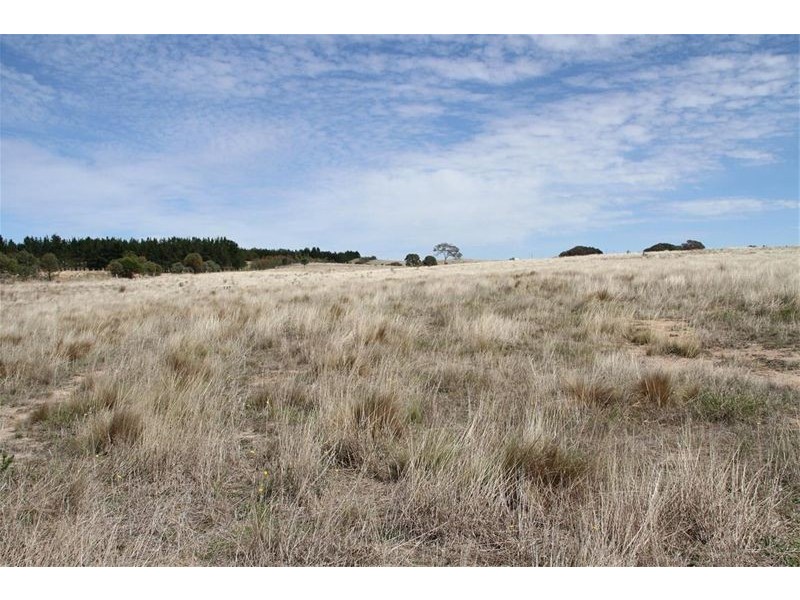 141 Elms Road, Yass NSW 2582