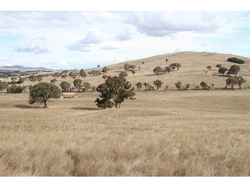 525 Murrumbateman Road, Murrumbateman NSW 2582