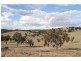 525 Murrumbateman Road, Murrumbateman NSW 2582