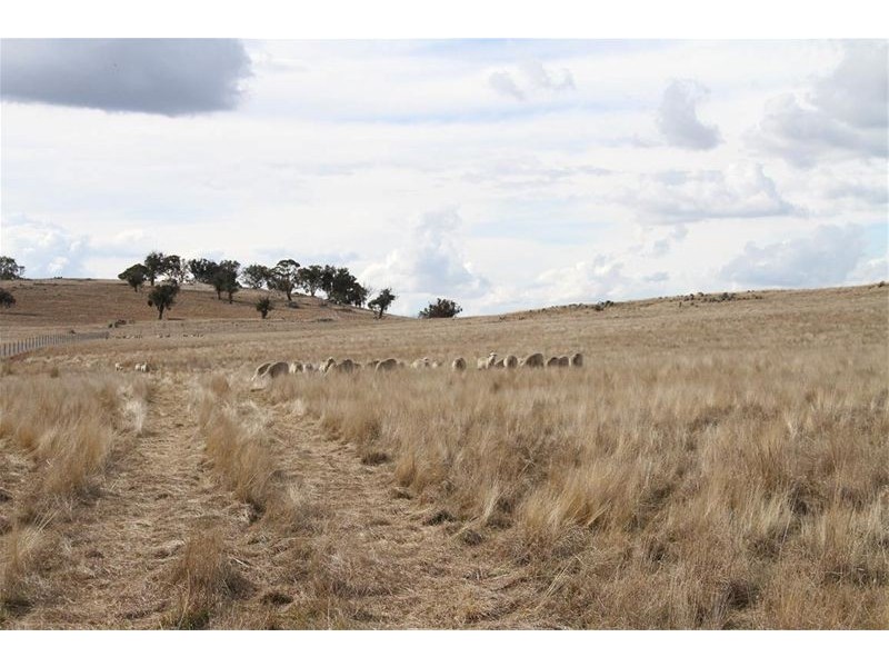 525 Murrumbateman Road, Murrumbateman NSW 2582