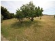 87 Yass Valley Way, Yass NSW 2582