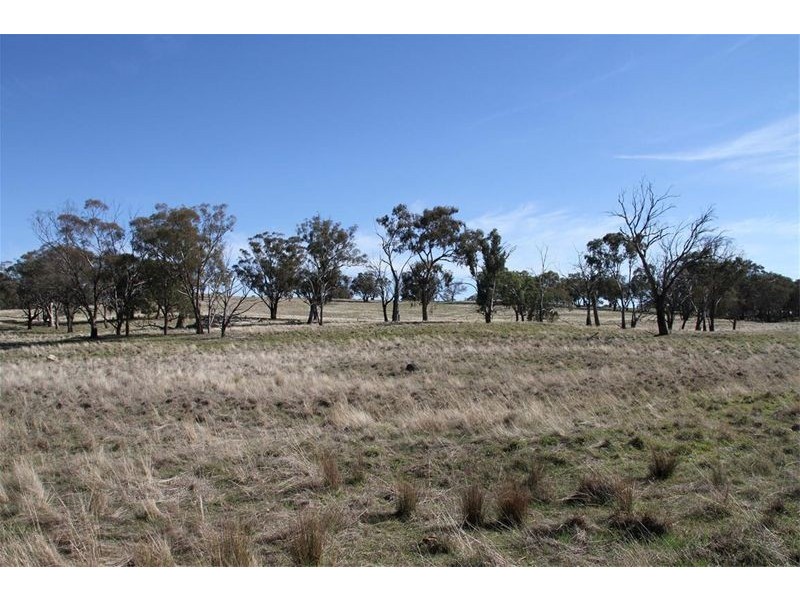 125 Rogerson Lane, Binalong NSW 2584