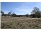 125 Rogerson Lane, Binalong NSW 2584
