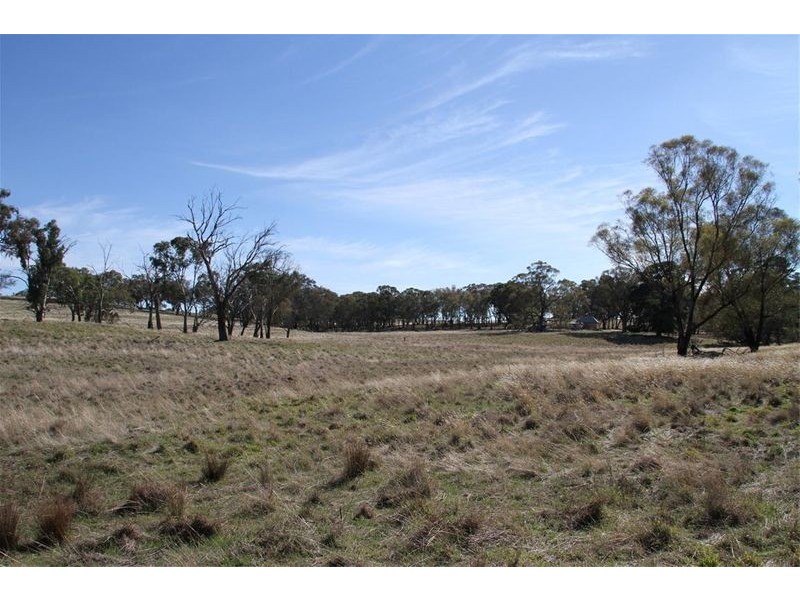 125 Rogerson Lane, Binalong NSW 2584