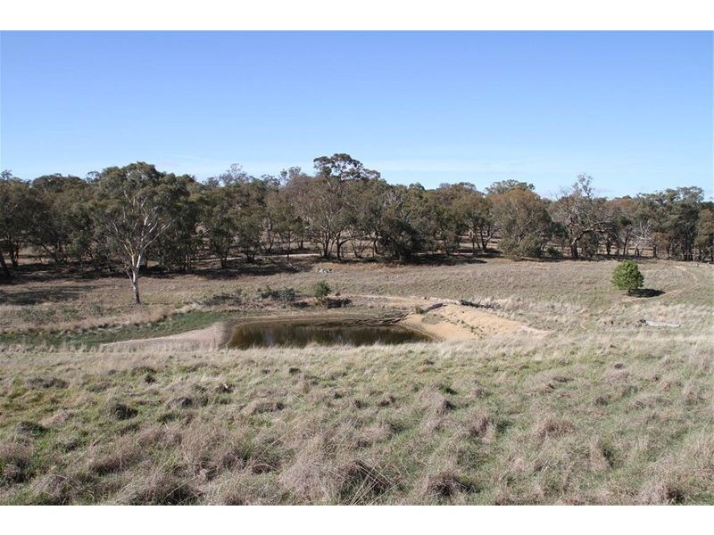 125 Rogerson Lane, Binalong NSW 2584
