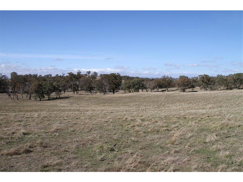 125 Rogerson Lane, Binalong NSW 2584