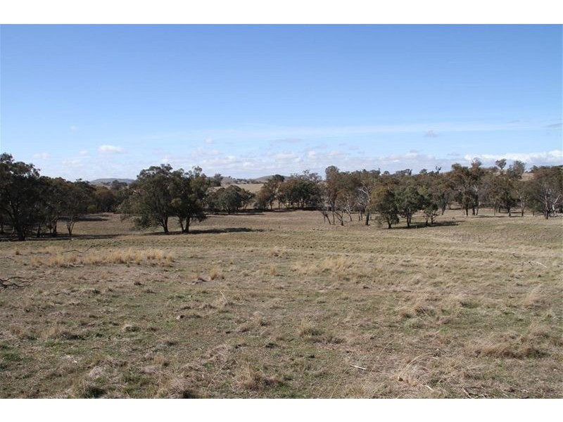 125 Rogerson Lane, Binalong NSW 2584