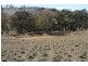 125 Rogerson Lane, Binalong NSW 2584