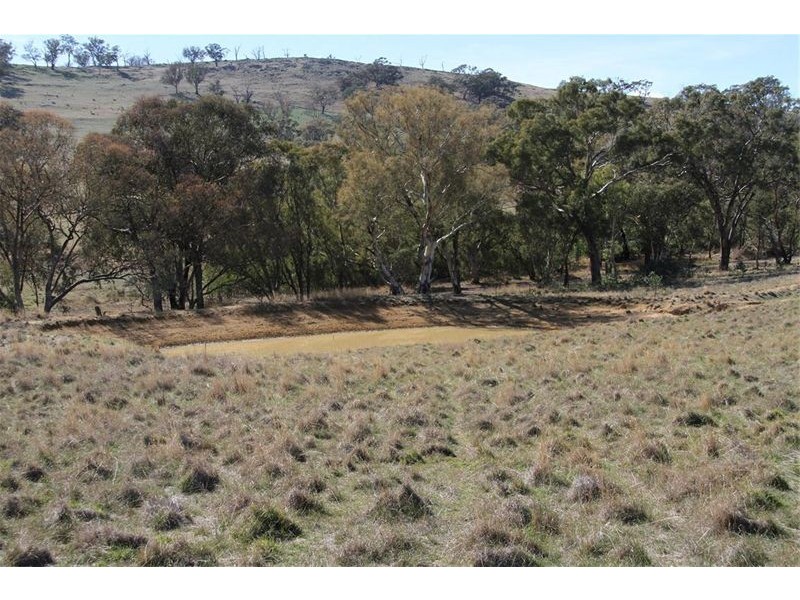 125 Rogerson Lane, Binalong NSW 2584