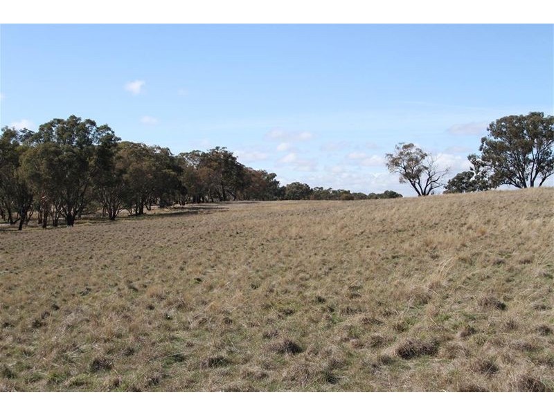 125 Rogerson Lane, Binalong NSW 2584