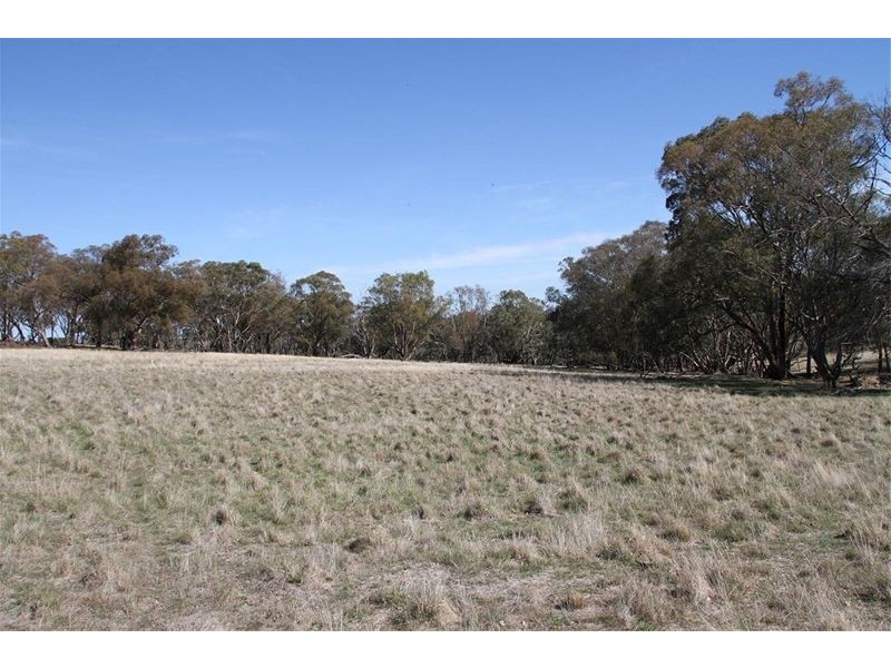 125 Rogerson Lane, Binalong NSW 2584
