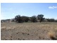 125 Rogerson Lane, Binalong NSW 2584