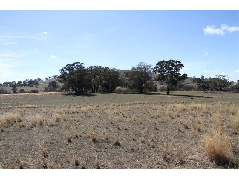 125 Rogerson Lane, Binalong NSW 2584