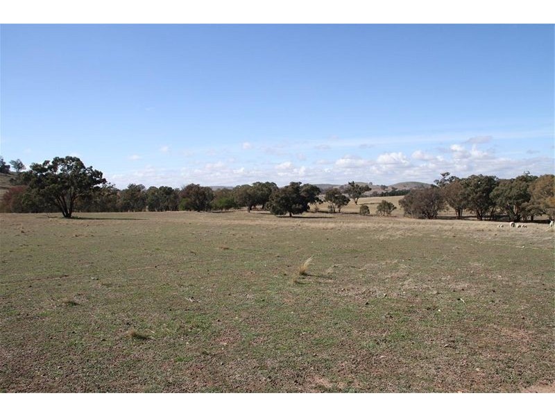 125 Rogerson Lane, Binalong NSW 2584