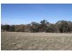 125 Rogerson Lane, Binalong NSW 2584