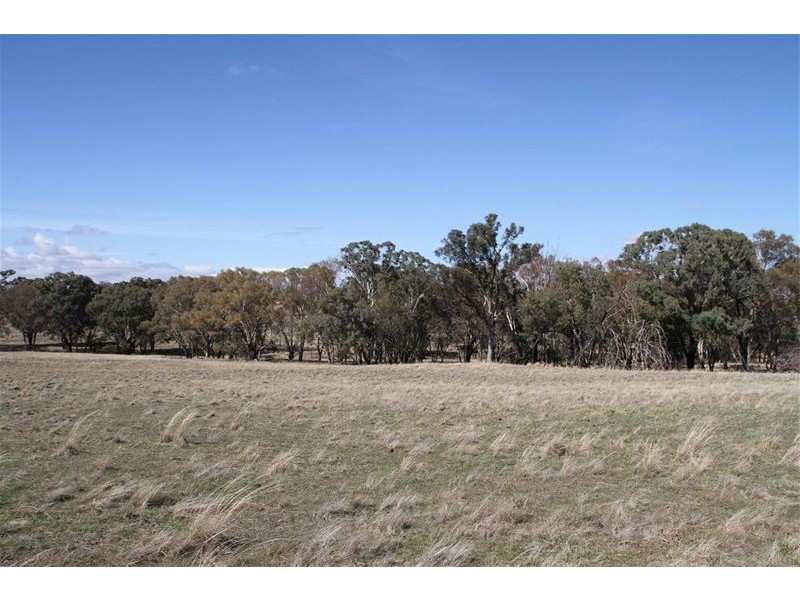125 Rogerson Lane, Binalong NSW 2584