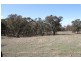 125 Rogerson Lane, Binalong NSW 2584