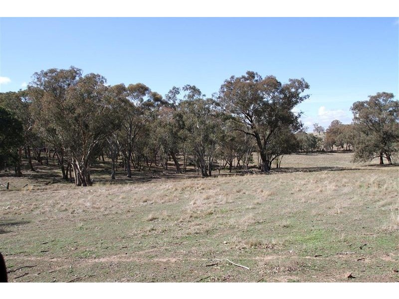 125 Rogerson Lane, Binalong NSW 2584