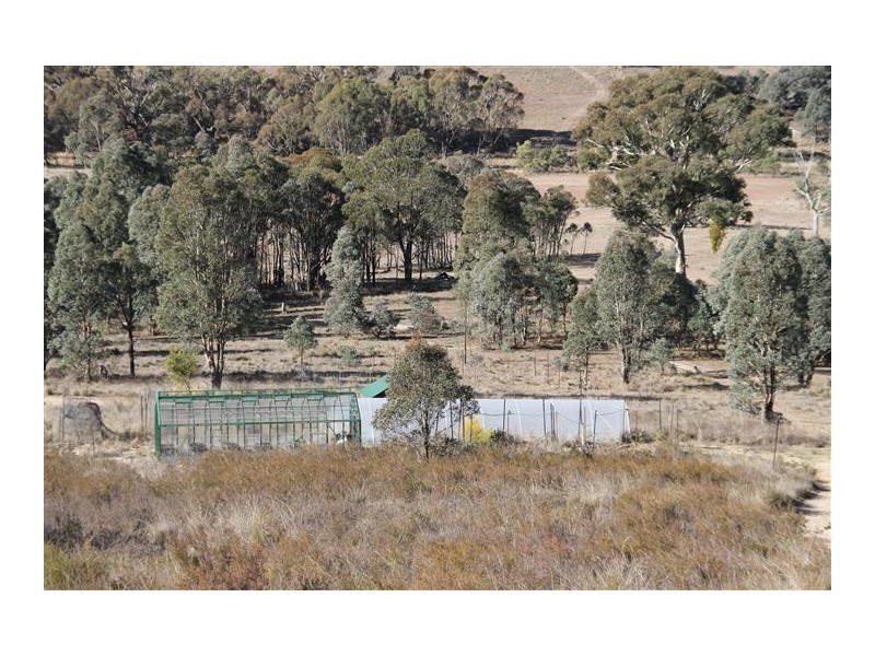572 Berrabangalo Road, Yass NSW 2582