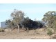 572 Berrabangalo Road, Yass NSW 2582