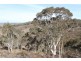 572 Berrabangalo Road, Yass NSW 2582