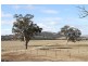 2441 Barton Hwy, Murrumbateman NSW 2582