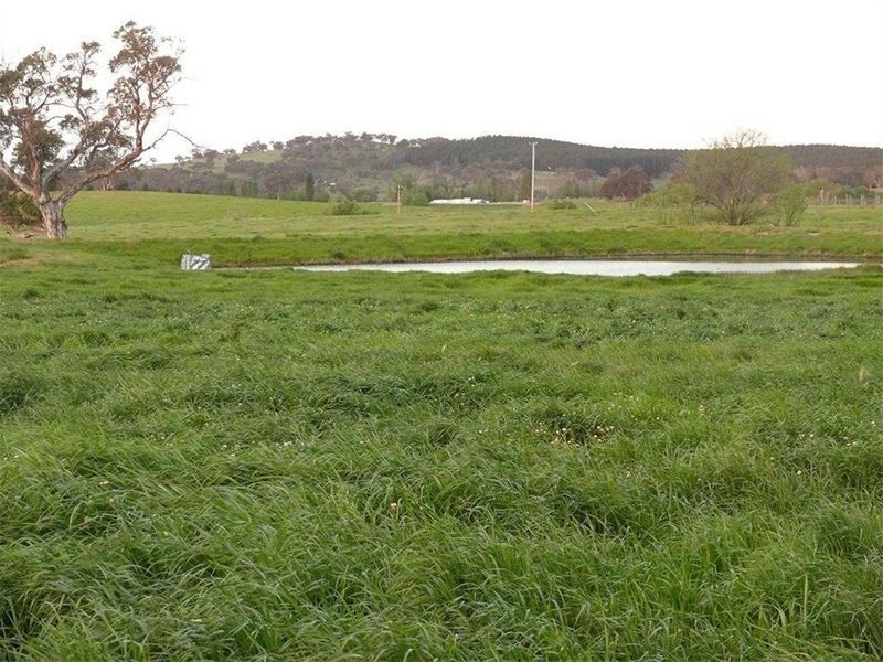 2441 Barton Hwy, Murrumbateman NSW 2582