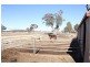 2441 Barton Hwy, Murrumbateman NSW 2582