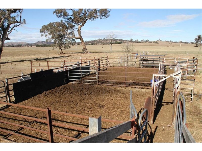 2441 Barton Hwy, Murrumbateman NSW 2582